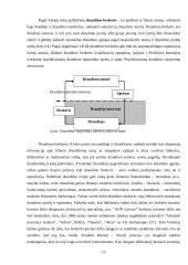 Ūkinės veiklos licencijavimas, draudimo tarpininkų reglamentavimas 13 puslapis