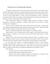 Vaiko kalbos raida nuo gimimo iki 5 metų 3 puslapis