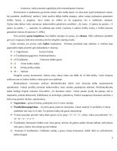 Vaiko kalbos raida nuo gimimo iki 5 metų 4 puslapis