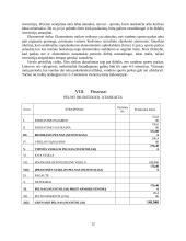 Vandens pramogų parkas verslo planas 12 puslapis