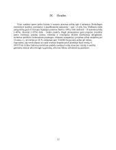 Vandens pramogų parkas verslo planas 13 puslapis