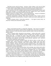 Vandens pramogų parkas verslo planas 5 puslapis