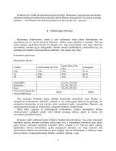 Vandens pramogų parkas verslo planas 7 puslapis