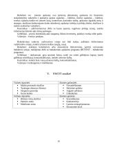 Vandens pramogų parkas verslo planas 10 puslapis