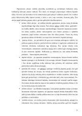 Vertybinių popierių viešosios rinkos organizavimas Lietuvoje 11 puslapis