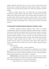 Vertybinių popierių viešosios rinkos organizavimas Lietuvoje 10 puslapis