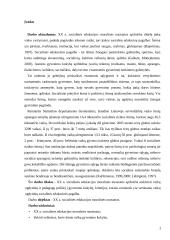 XX a. socialinės edukacijos moralinės nuostatos 2 puslapis