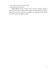 XX a. socialinės edukacijos moralinės nuostatos 3 puslapis