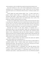 Žemės gelmių tyrimai ir jų teisinis reglamentavimas 13 puslapis