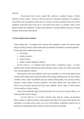Žemės gelmių tyrimai ir jų teisinis reglamentavimas 14 puslapis