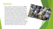 Navruz Holiday 3 puslapis