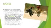 Navruz Holiday 4 puslapis
