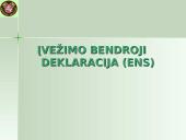 Įvežimo bendroji deklaracija (ENS) 