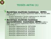 Įvežimo bendroji deklaracija (ENS)  2 puslapis