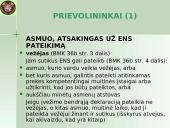 Įvežimo bendroji deklaracija (ENS)  11 puslapis