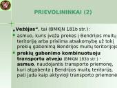 Įvežimo bendroji deklaracija (ENS)  12 puslapis