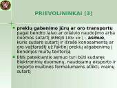 Įvežimo bendroji deklaracija (ENS)  13 puslapis