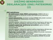 Įvežimo bendroji deklaracija (ENS)  15 puslapis