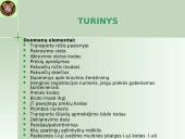 Įvežimo bendroji deklaracija (ENS)  17 puslapis