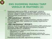 Įvežimo bendroji deklaracija (ENS)  19 puslapis