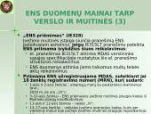 Įvežimo bendroji deklaracija (ENS)  20 puslapis