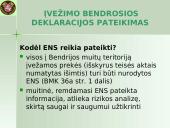 Įvežimo bendroji deklaracija (ENS)  5 puslapis