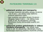 Įvežimo bendroji deklaracija (ENS)  9 puslapis