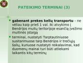 Įvežimo bendroji deklaracija (ENS)  10 puslapis