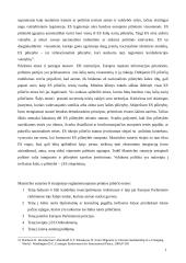 Europos Sąjungos pilietybės ir nacionalinės pilietybės santykis 11 puslapis