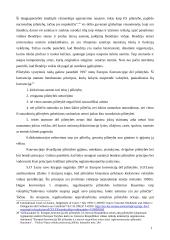 Europos Sąjungos pilietybės ir nacionalinės pilietybės santykis 17 puslapis