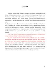 Europos Sąjungos pilietybės ir nacionalinės pilietybės santykis 3 puslapis