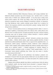 Europos Sąjungos pilietybės ir nacionalinės pilietybės santykis 4 puslapis