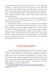 Europos Sąjungos pilietybės ir nacionalinės pilietybės santykis 5 puslapis