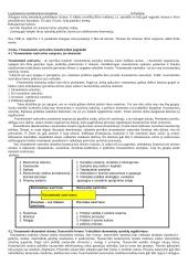 Konstitucinė lyginamoji teisė 16 puslapis