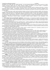 Konstitucinė lyginamoji teisė 17 puslapis