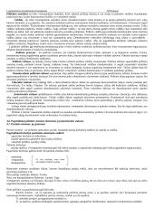 Konstitucinė lyginamoji teisė 18 puslapis