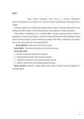 Konstitucinės teisės šaltinių sistema 2 puslapis