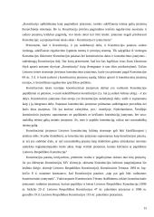 Konstitucinės teisės šaltinių sistema 15 puslapis