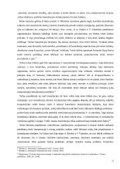 Teisminių institucijų, teismų precedento bei jų praktikos apibendrinimo konstitucinė samprata 13 puslapis