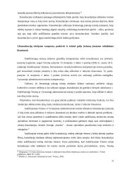 Teisminių institucijų, teismų precedento bei jų praktikos apibendrinimo konstitucinė samprata 10 puslapis