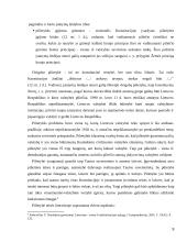 Lietuvos Respublikos pilietybė teisiniai, konstituciniai ypatumai 9 puslapis