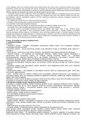 Savivaldos teisės konspektas 2 puslapis