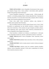 Seimo kontrolierių teisinis statusas 3 puslapis