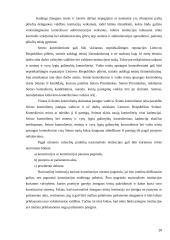 Lietuvos Respublikos Seimo kontrolierių teisinio statuso reglamentavimo ypatumai 20 puslapis