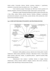 Lietuvos Respublikos Seimo kontrolierių teisinio statuso reglamentavimo ypatumai 5 puslapis