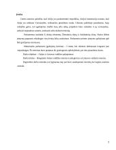 Airijos ir Lietuvos valdžios palyginimas 2 puslapis