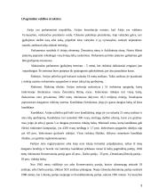 Airijos ir Lietuvos valdžios palyginimas 3 puslapis