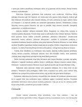 Airijos ir Lietuvos valdžios palyginimas 4 puslapis