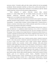 Airijos ir Lietuvos valdžios palyginimas 5 puslapis