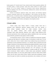 Airijos ir Lietuvos valdžios palyginimas 6 puslapis